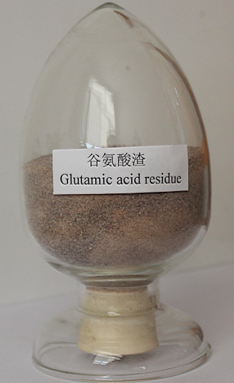 Glutamic acid residue